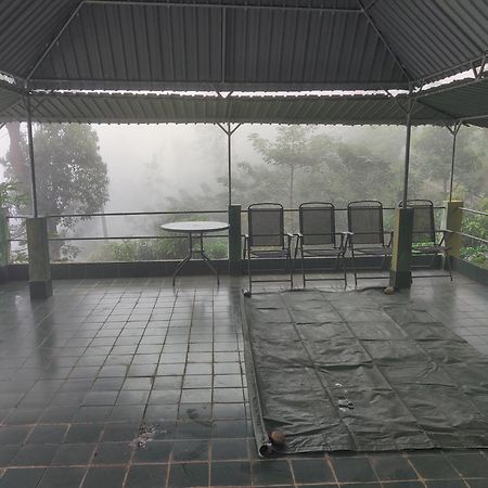 Rohana Estate Lodging & Camping Kandy Eksteriør billede