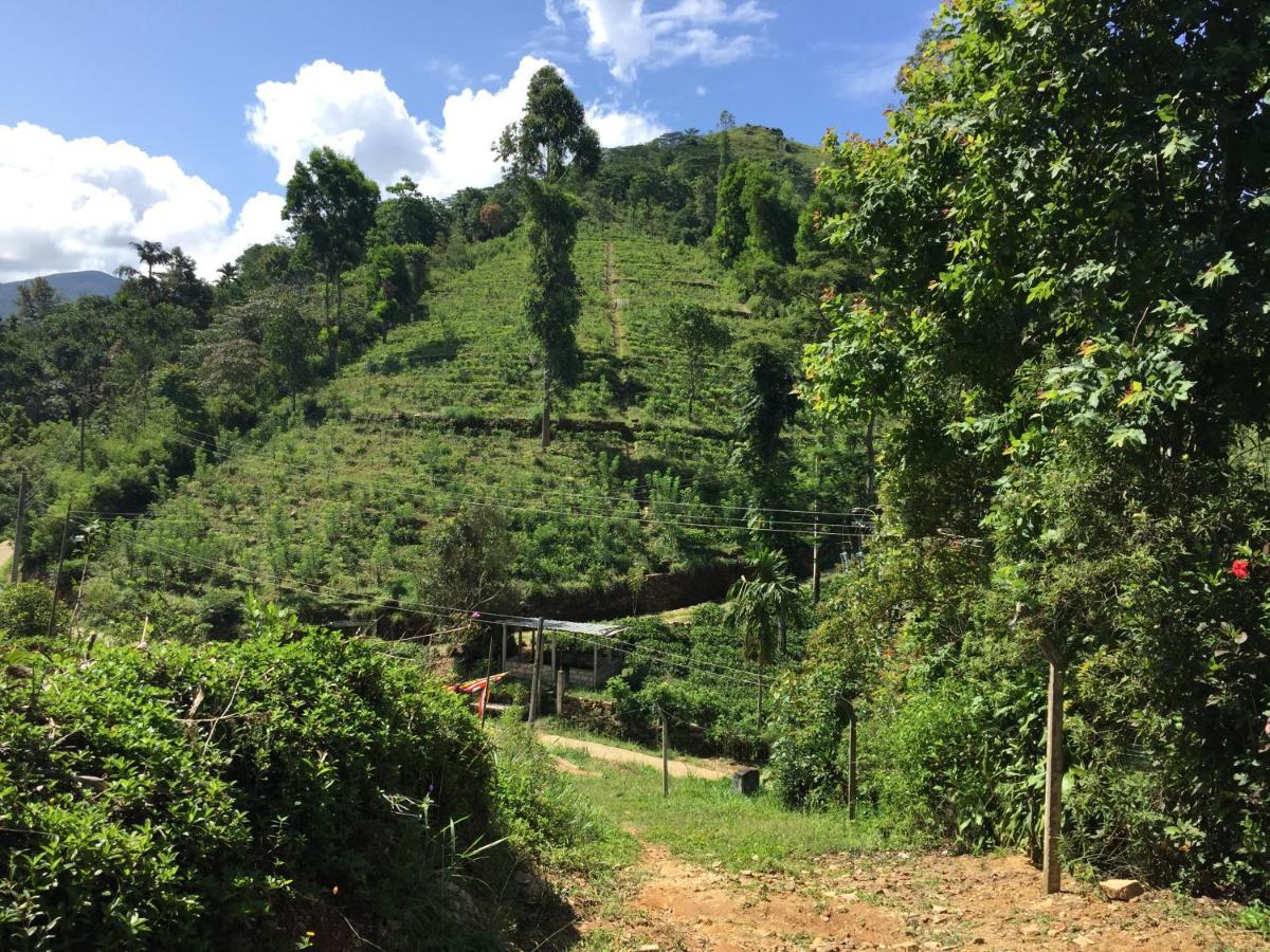 Rohana Estate Lodging & Camping Kandy Eksteriør billede