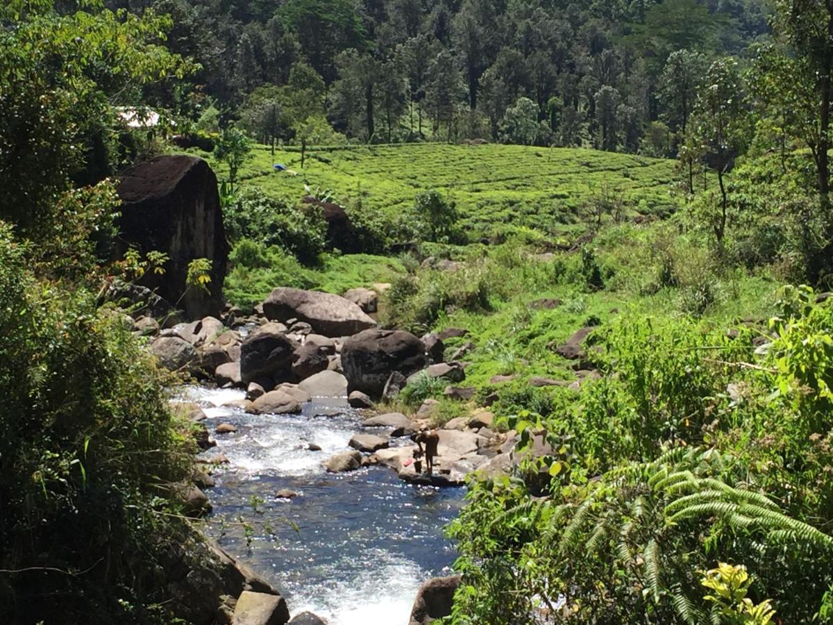 Rohana Estate Lodging & Camping Kandy Eksteriør billede