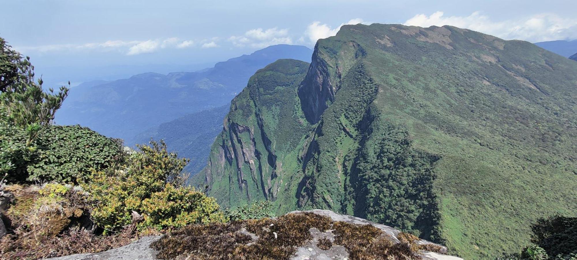 Rohana Estate Lodging & Camping Kandy Eksteriør billede