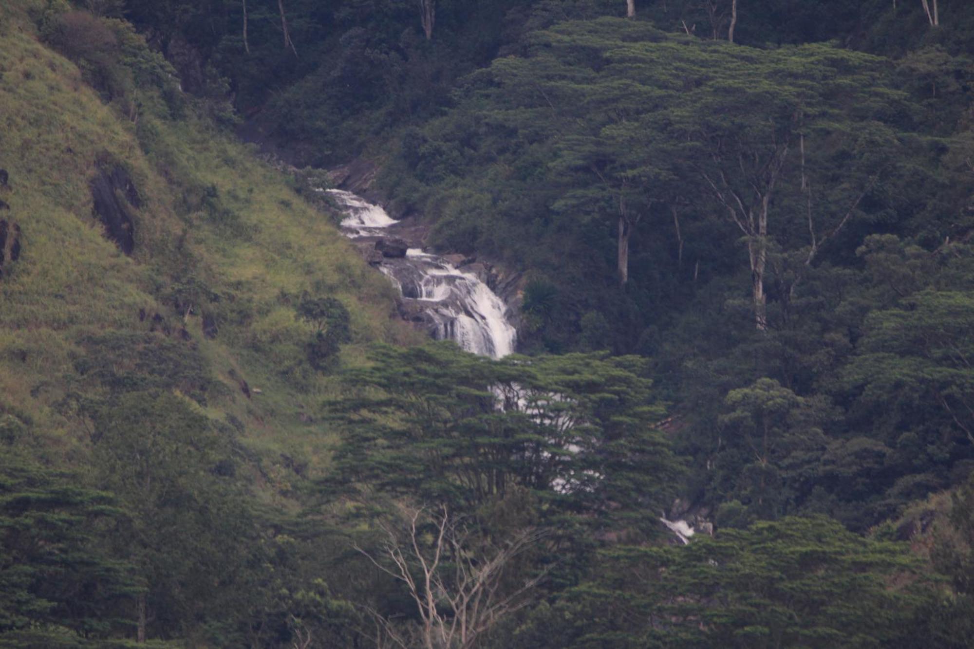 Rohana Estate Lodging & Camping Kandy Eksteriør billede