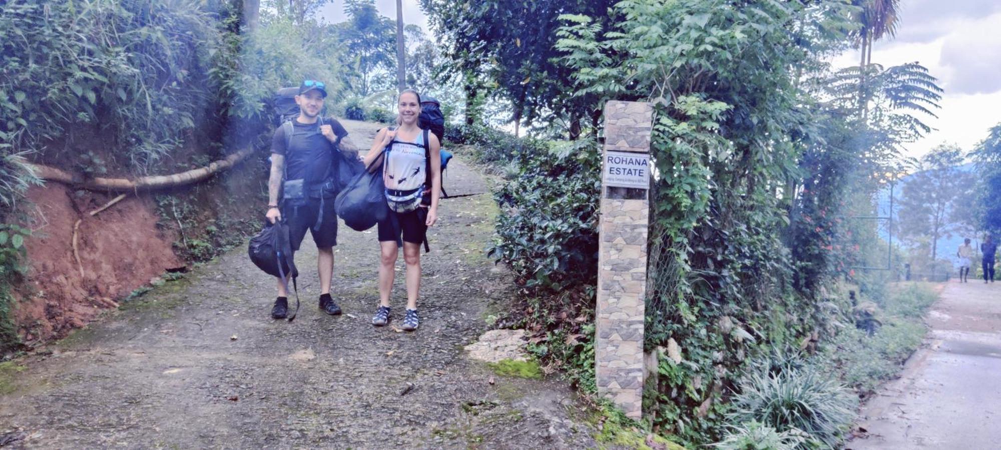 Rohana Estate Lodging & Camping Kandy Eksteriør billede