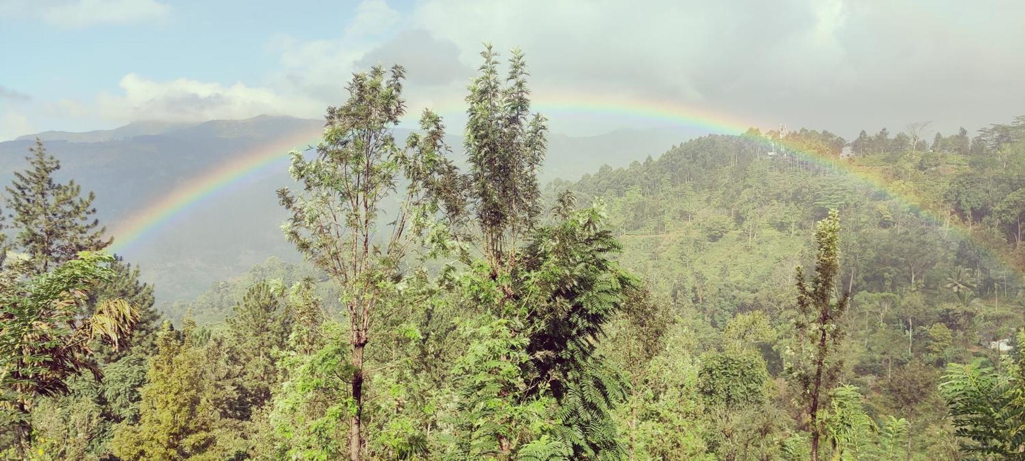 Rohana Estate Lodging & Camping Kandy Eksteriør billede
